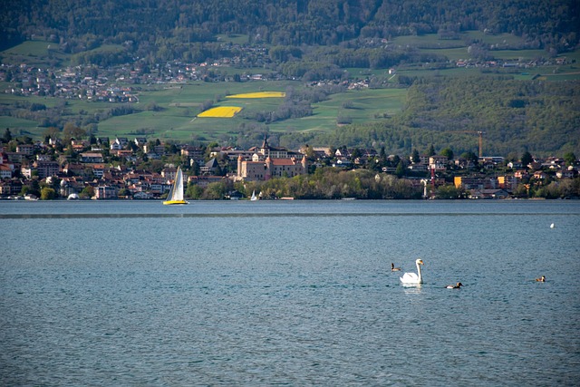 Free Lake Landscape photo and picture
