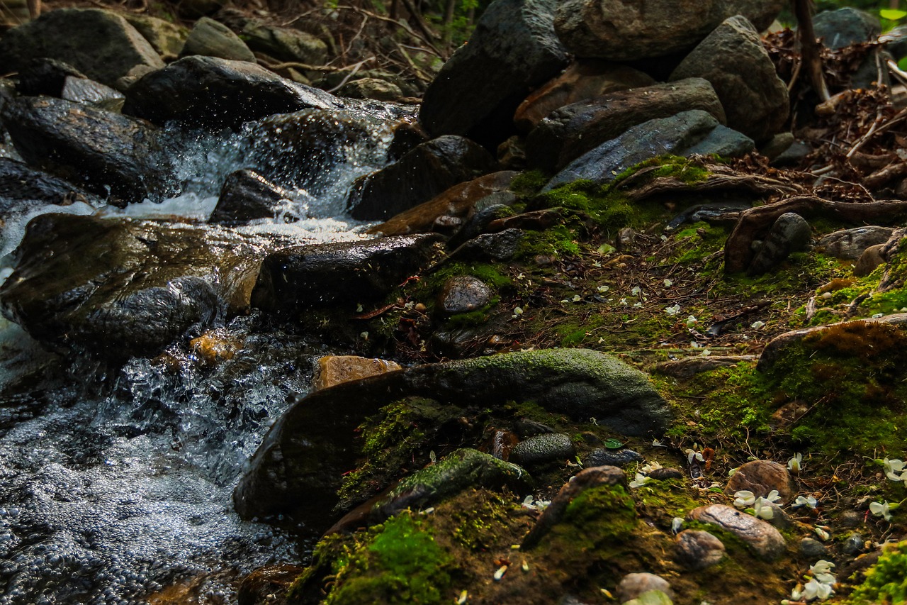 Landscape - free online jigsaw puzzle photo
