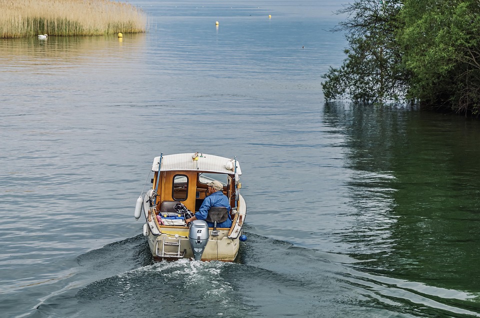 Pike Fever: When and Where to Catch the Big One