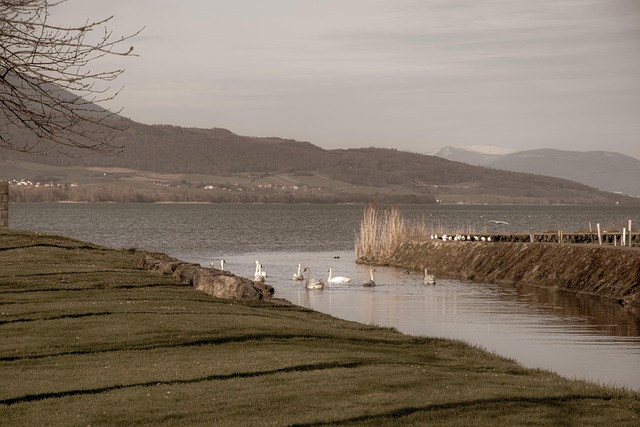 Free River Lake photo and picture