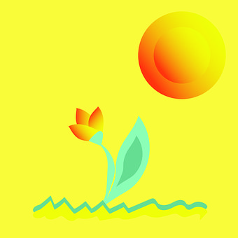 Flor, Sol, Verão, Bloom, Natureza