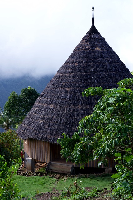 Hus, Traditionel, Stamme, Arkitektur