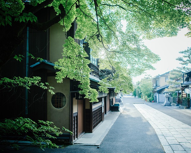 Free Kyoto Shrine photo and picture