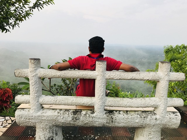 Free Nature Beautiful photo and picture