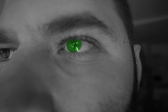 Free Human Eye photo and picture