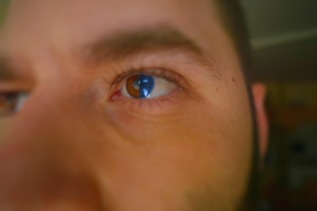 Free Human Eye photo and picture