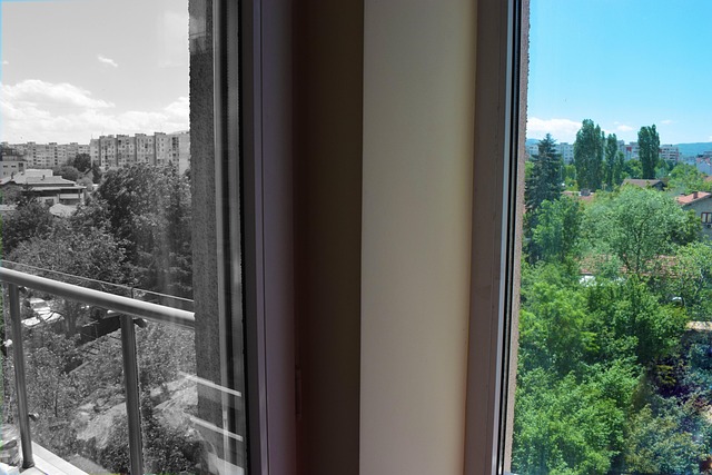 Free City Color photo and picture