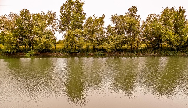 Free River Water photo and picture