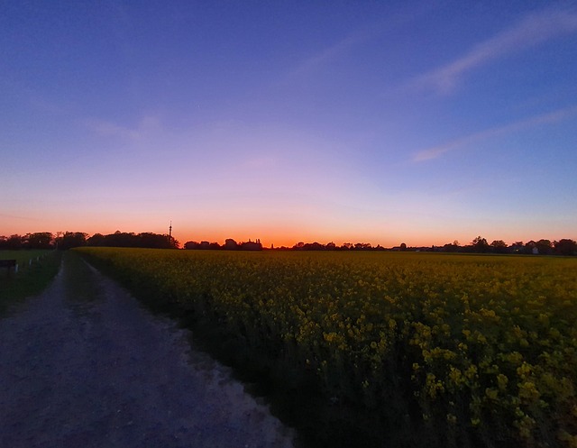 Solnedgang, Grusvej, Recklinghausen, Nrw