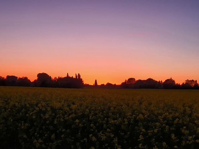 Free Sunset Recklinghausen photo and picture