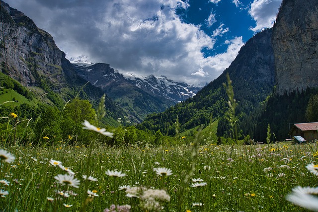 Free Meadow Valley photo and picture
