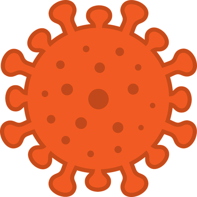 Free corona orange contour vector