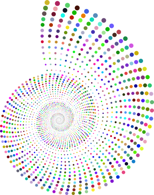 Free nautilus vortex nature vector
