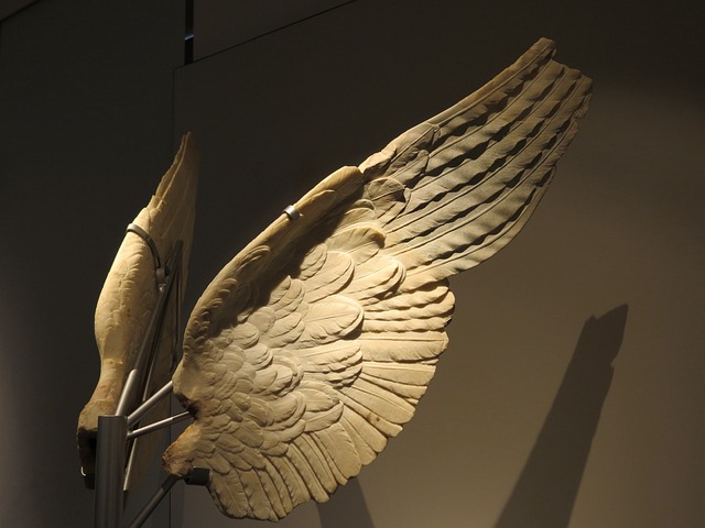 Free Wings Angel photo and picture