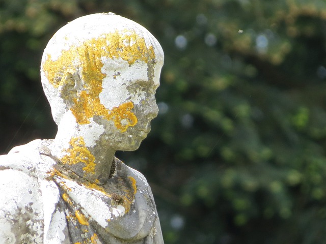 Free Sculpture White photo and picture