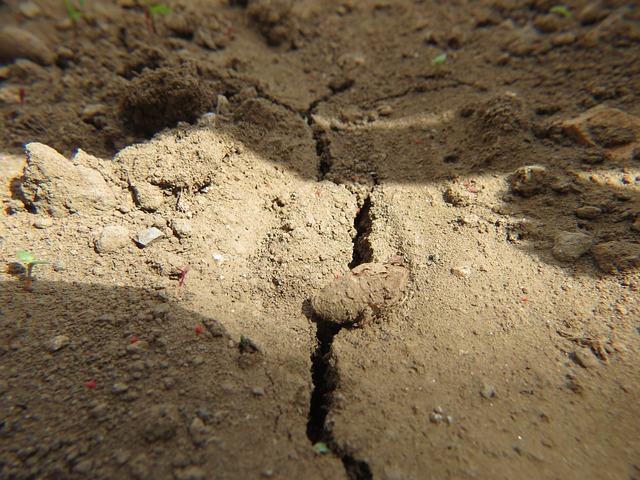 Free Earth Dry photo and picture