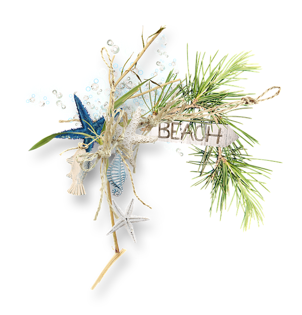 Free Summer Sea illustration and picture