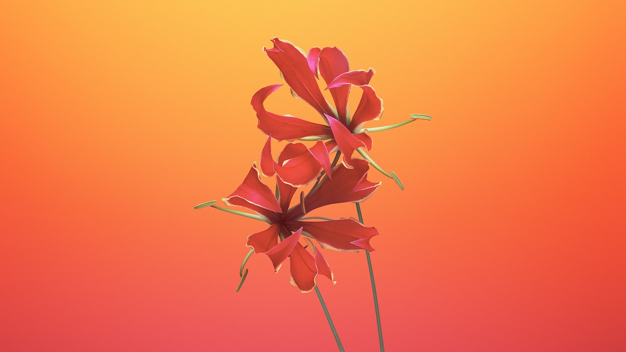 Flower - free online jigsaw puzzle photo