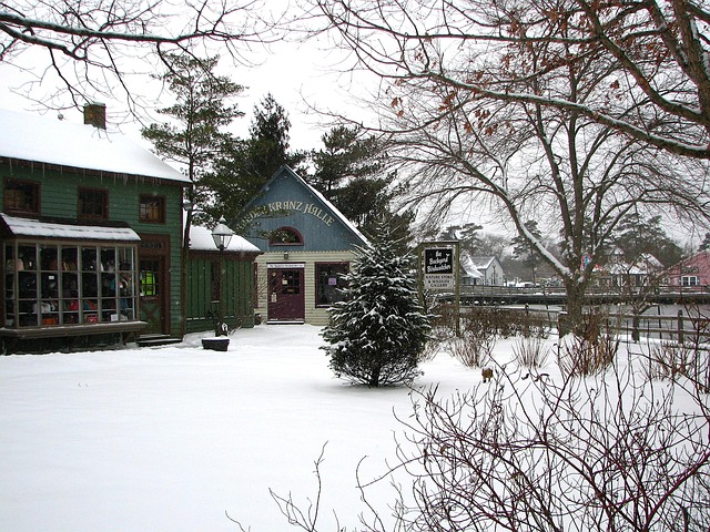 Free Winter Snow photo and picture