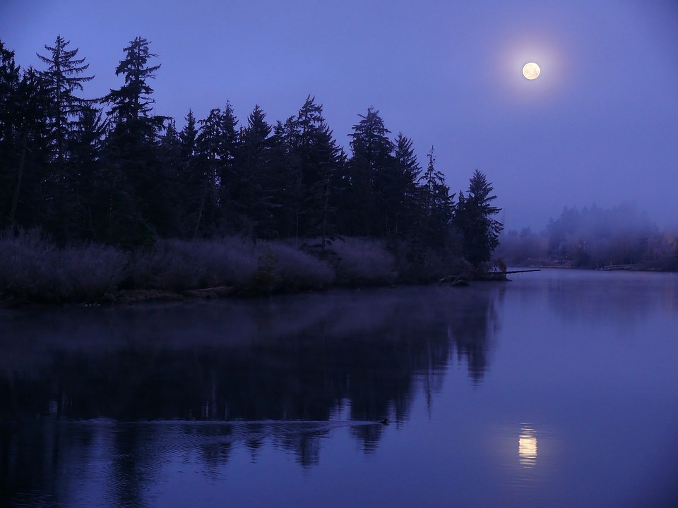 夜 月 月光 - Pixabayの無料写真 - Pixabay