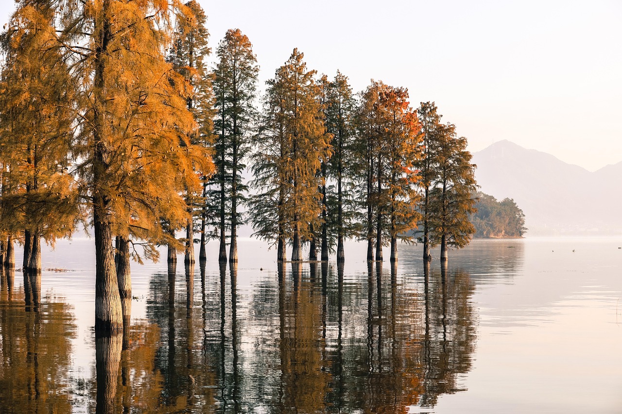Branch - free online jigsaw puzzle photo
