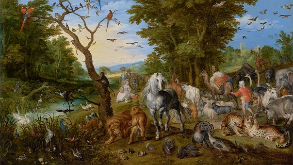 Der Ältere, Die Tiere, Arche Noah