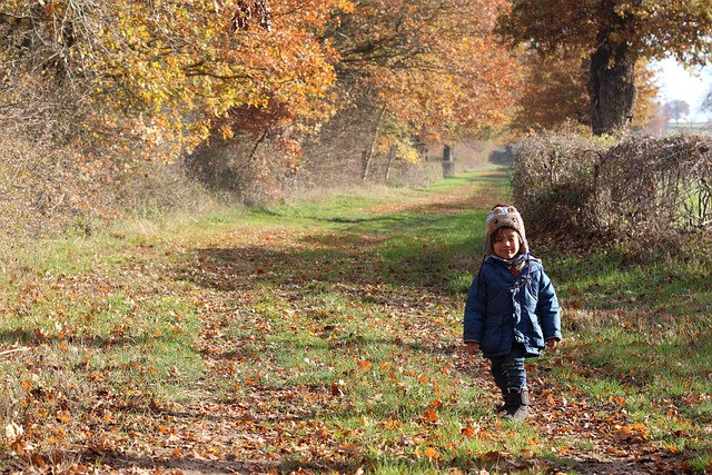 Kind, Herbst, Bäume, Wald, Natur, Gehen