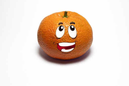 Free Fruit Orange photo and picture