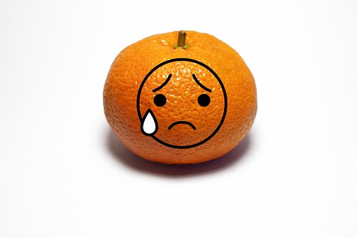 Free Orange Sweet photo and picture