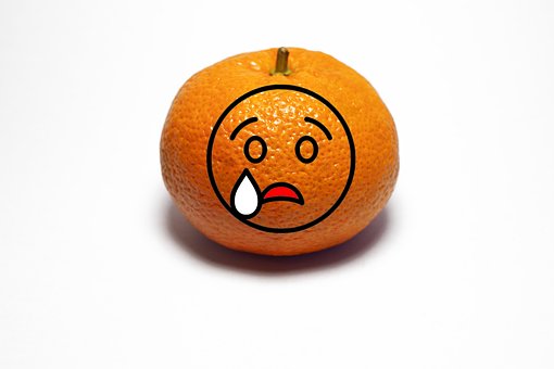 Free Orange Sweet photo and picture