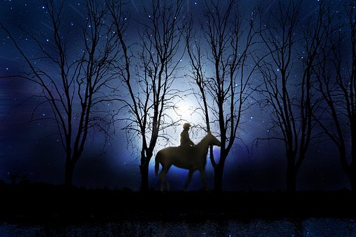 Cavalo, Animal, Cavalos, Noite, Passeio