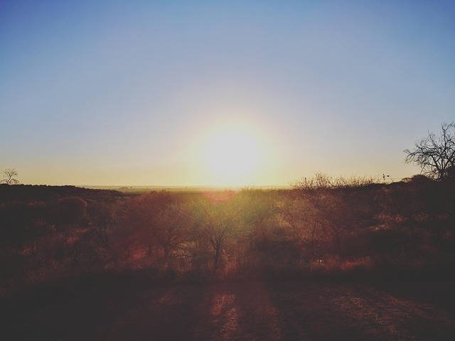 Free Sunset Bushveld photo and picture