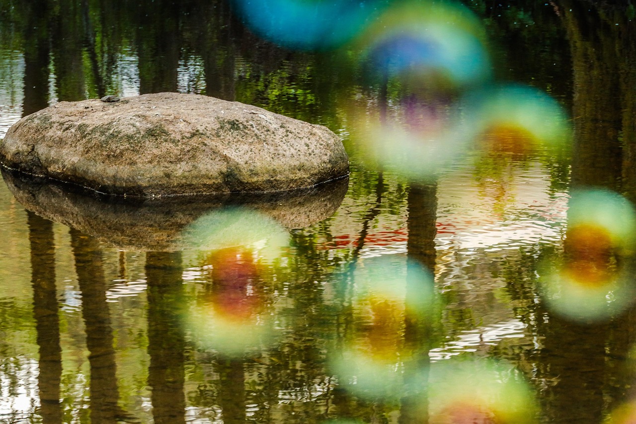 Soap Bubble Nature River Free photo on Pixabay Pixabay