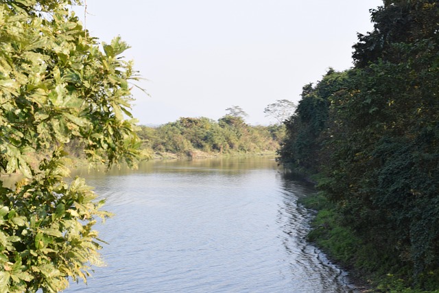 Free Nature Green photo and picture