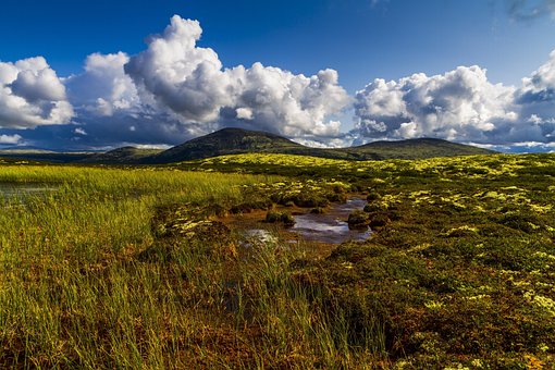 Landschaft, Berg, Sumpf, Wasser, Heather