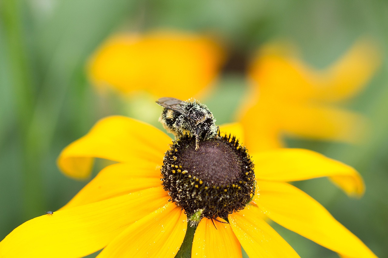 Spring - free online jigsaw puzzle photo