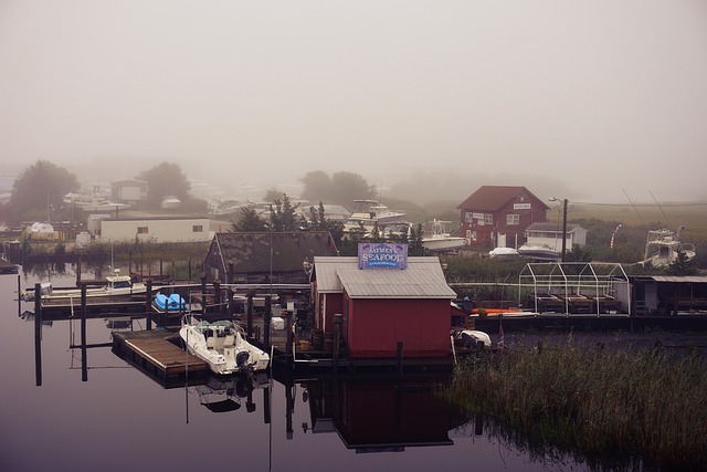 Free River Boats photo and picture