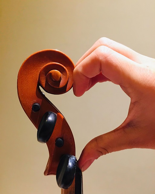 Muziek, Viool, Musicus, Instrument