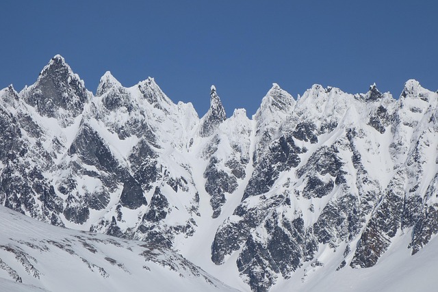 Free Mountain Mounts photo and picture