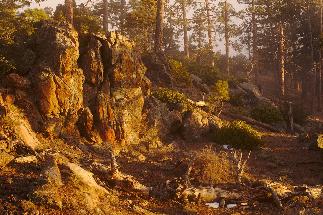 Sunset - free online jigsaw puzzle photo
