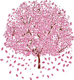 秋の風景 画像 無料画像をダウンロード Pixabay