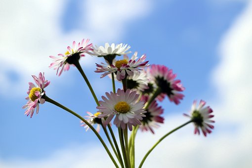 파산신청기간급여3