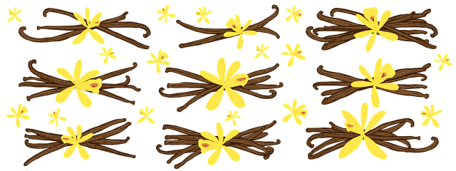 Free vanilla pod vanilla flower illustration