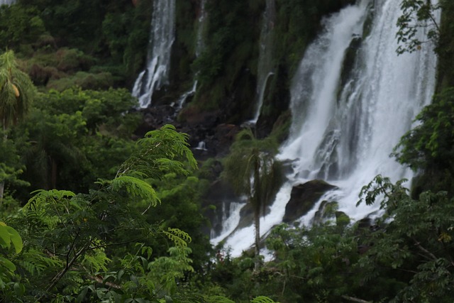 Free Iguazu Falls Waterfall photo and picture