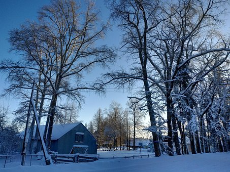 Rusia, Aldea, Árboles, Invierno, Nieve