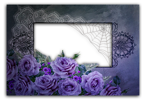 Free Roses Flower illustration and picture