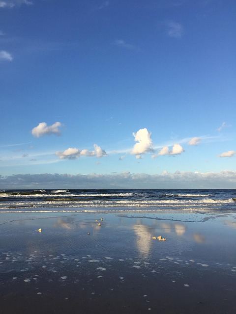 Free Baltic Sea Sea photo and picture
