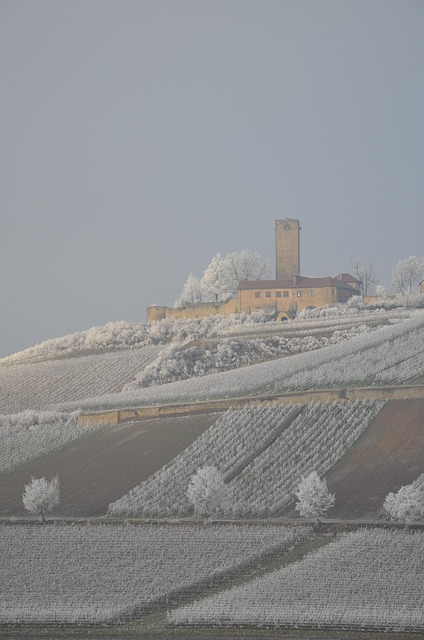 Free Castle Winter photo and picture