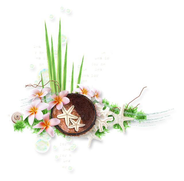 Free summer sea ocean illustration