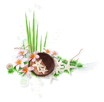Free Summer Sea illustration and picture